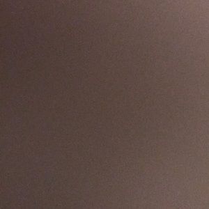 Meet your Posher, Bailey